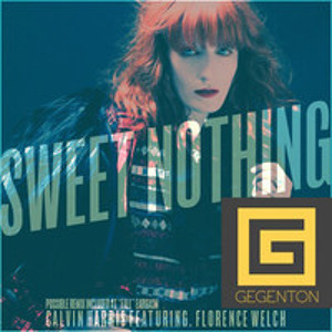 Calvin Harris Sweet Nothing Ft Florence Welch Mp3