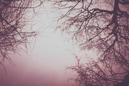 @playlist artwork