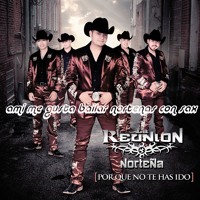 la reunion nortena-Por que no te as ido 2013(estudio)(dj nunca)