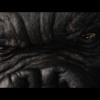 Eye-screaM - King Kong in the Trunk (2013 Edit) album artwork