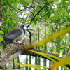 Grove Scenic Reserve