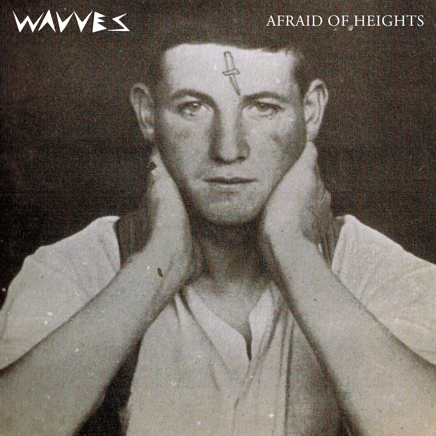 Wavves - Demon To Lean On