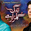 Zindagi-Gulzar-Hai- OST -Hadiqa-Kiani