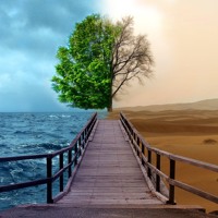Listen to a new electro song Mixed Emotions - Michael Ma