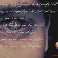 toma tu 14 d feb -_- t puras para
