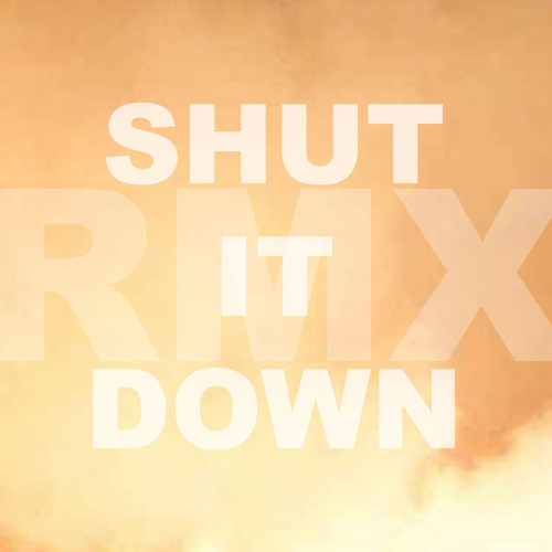 Shut It Down Public Enemy