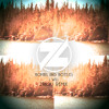 Bombs & Bottles - I Will (Zanski Remix)