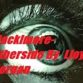 Macklemore - Otherside (cover)