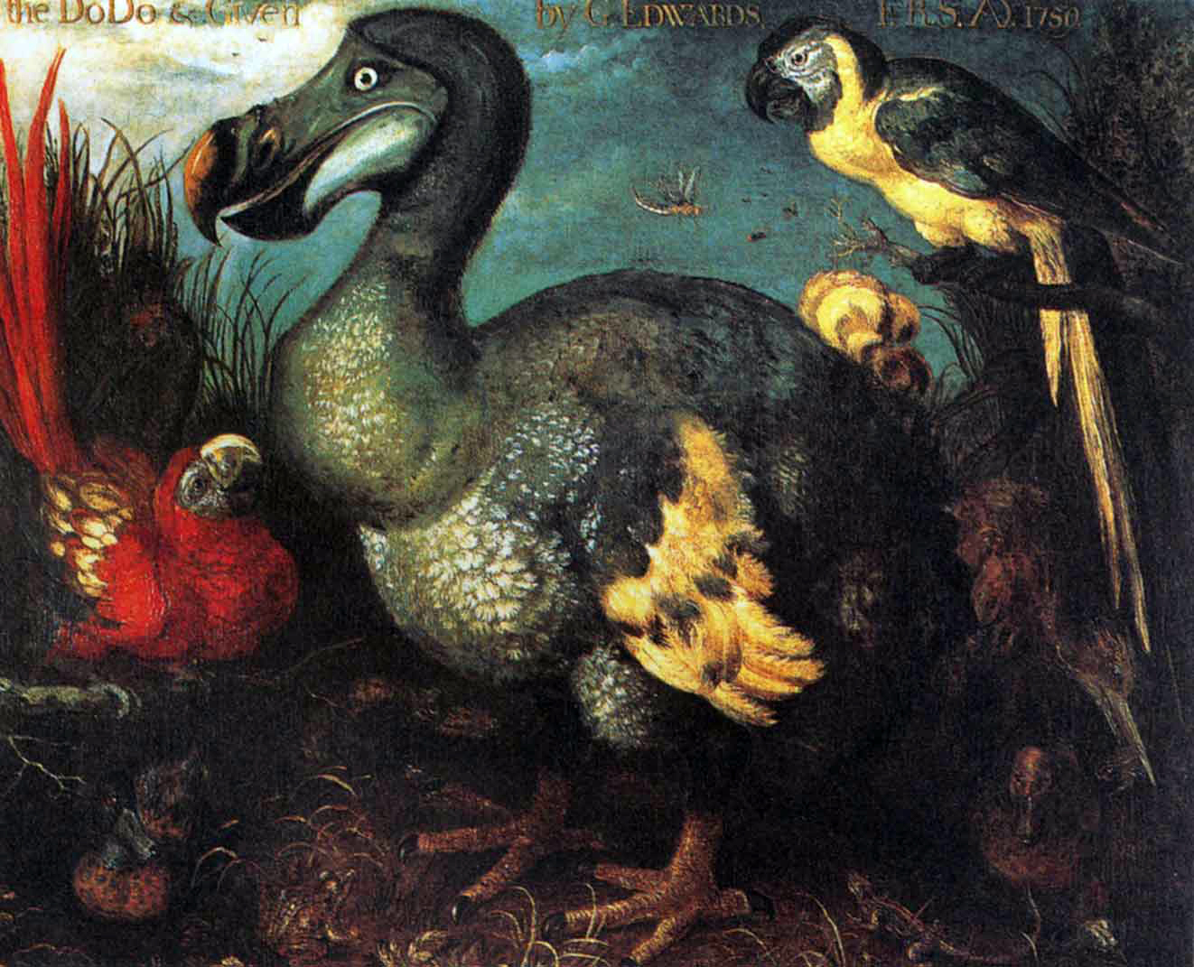 Treasures from The Jonesonian: The Last of the Dodos