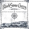 Black Stone Cherry - Blame It On The Boom Boom