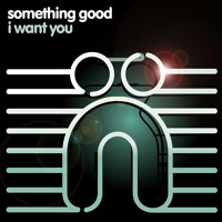 Listen to a new electro song I Want You - Something Good