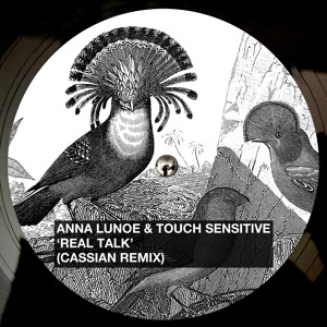  Real Talk (Cassian Remix) by Anna Lunoe & Touch Sensitive 