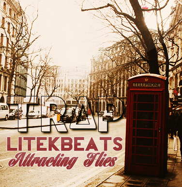 Attracting Flies Mp3 Download