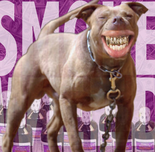 Track artwork