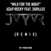 ASAP Rocky feat Skrillex Wild for the Night (JvYvR remix) ASAP Rocky feat Skrillex Wild for the Night (JvYvR remix)