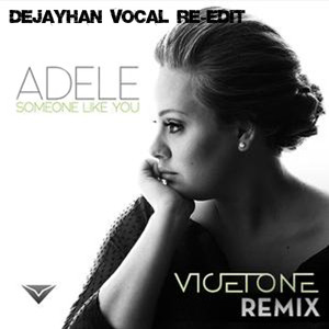 Someone Like You (Dejayhan Vocal Re Edit)   Vicetone ft  Krewella & One Republic