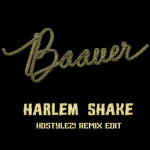 Baauer – Harlem Shake (HDstylez! Club Edit)