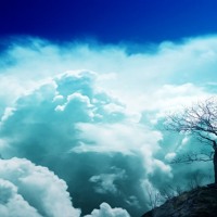 Listen to a new electro song First Light [Free] - SizzleBird