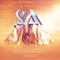 Listen to a new electro song Adrenaline (Original Mix) - Sam La More (ft. Gary Go)