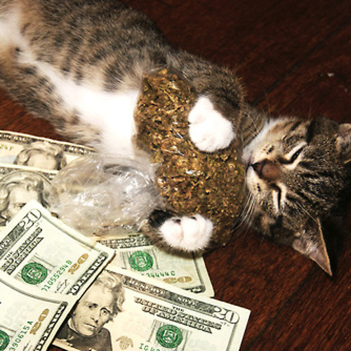I love pussy money weed