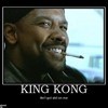 Billy Genius - King Kong/Trunk album artwork