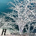 Roberto - Contemplation Zone [affin Recs]