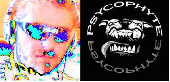 New Song