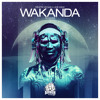 Dimitri Vegas & Like Mike - Wakanda - The Remixes ( PREVIEW ) - OUT NOW !!! album artwork