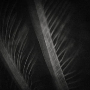 artworks-000050069981-p0bsgc-crop.jpg?3eddc42