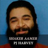 PJ Harvey - 'Shaker Aamer'