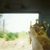 Counting Stars (One Republic) album artwork