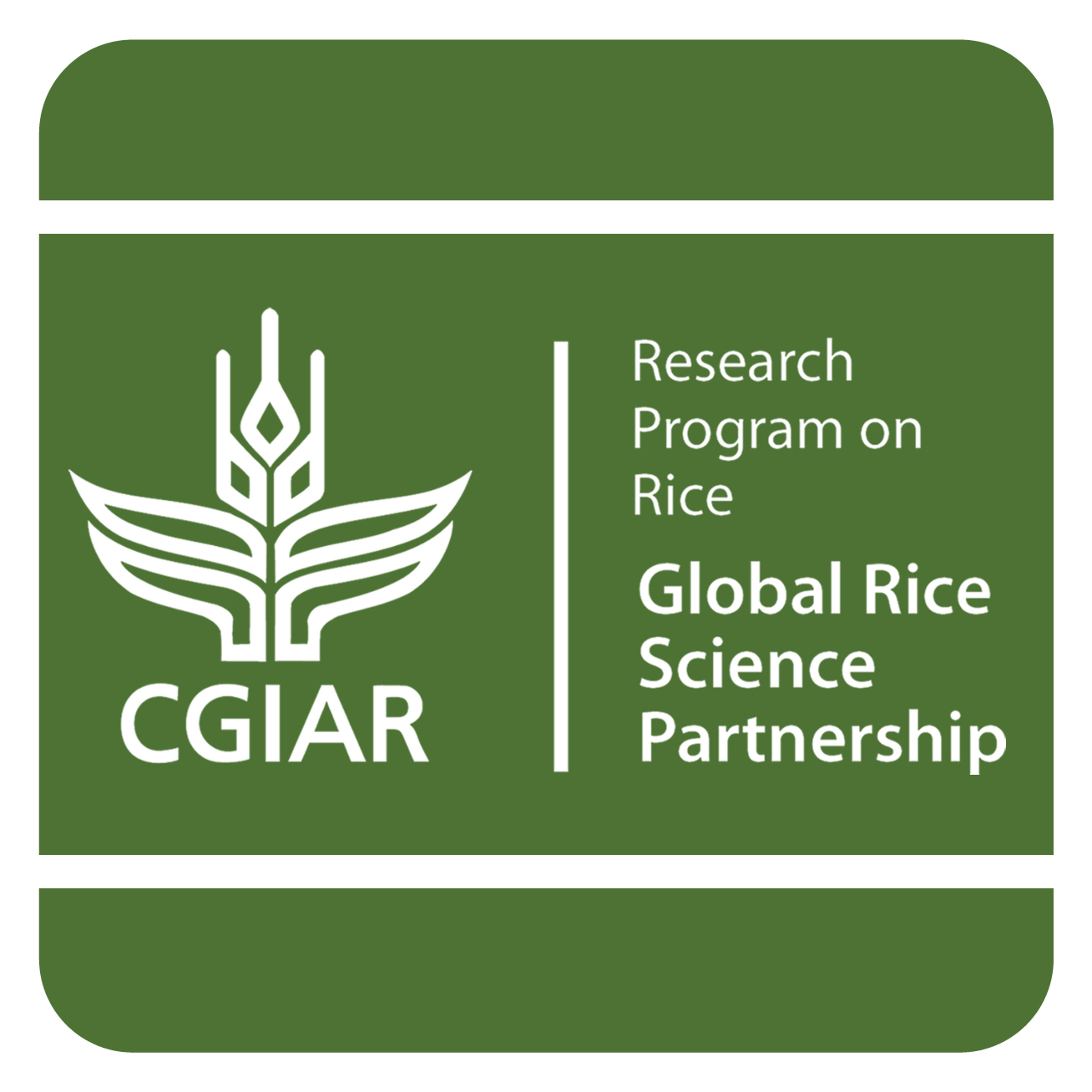 Women & Rice Farming
