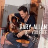 Gary Allan It Aint The Whiskey album artwork