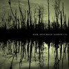 NIN / Nine Inch Nails - Ghosts 35 (v0) album artwork