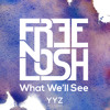 Free n Losh - What Well See