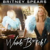 Britney Spears - Work Bitch (AlexB OPEN FUN Mixshow Edit) album artwork
