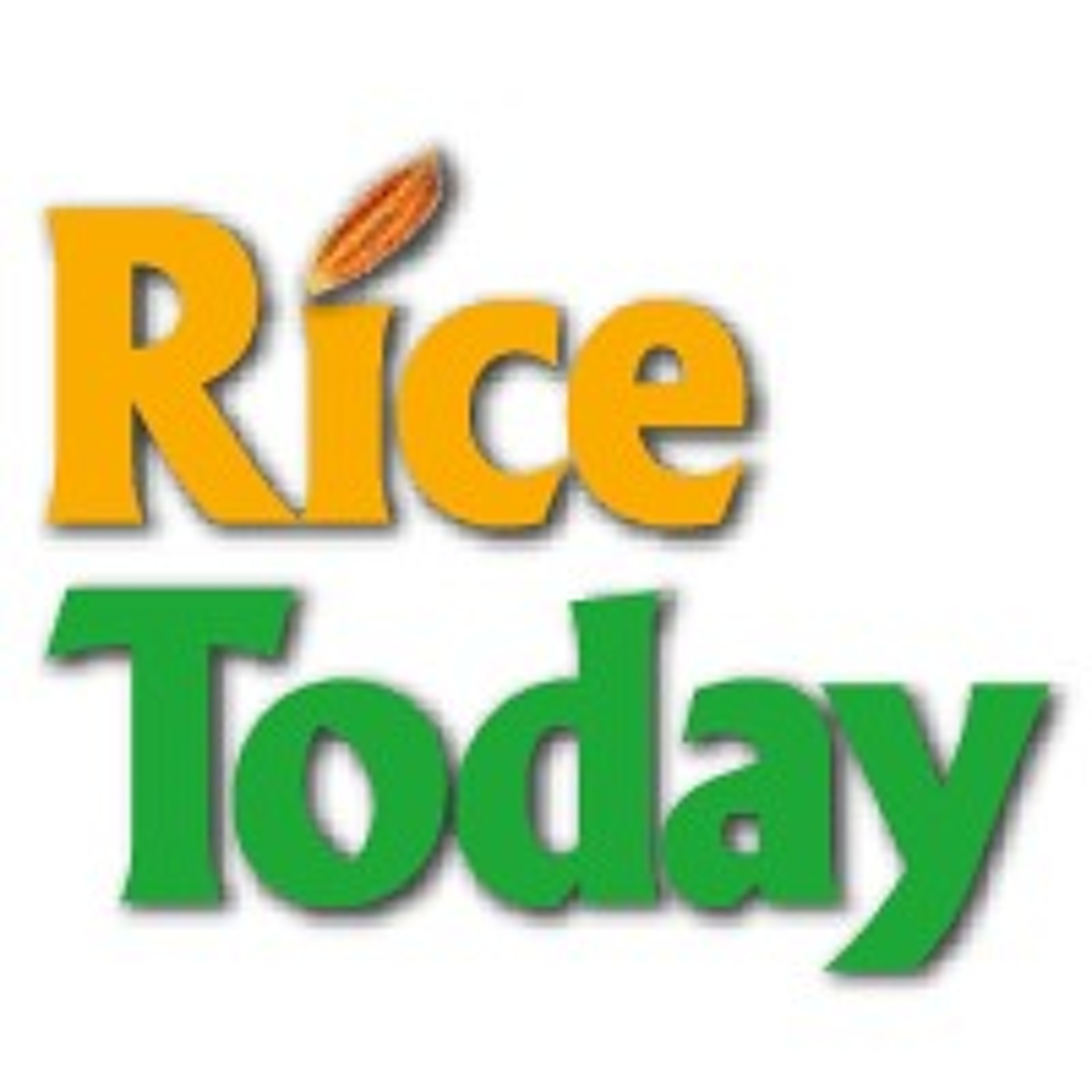 The International Rice Genebank | 2013