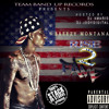 Bop Like Me (lil chris ft breezy montana album artwork