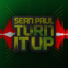 Sean Paul - Turn It Up album artwork