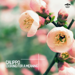  Looking For A Meaning (Croatia Squad Remix) by Calippo 