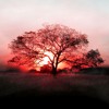 Tinie Tempah- Children Of The Sun (marosmosek) album artwork