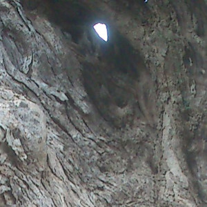artworks-000061861491-pxmyny-crop.jpg?3eddc42