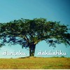 Duniaku Dakwahku - Ayai Feat Altimet album artwork