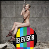 Miley Cyrus - Wrecking Ball (Televisor Bootleg) album artwork