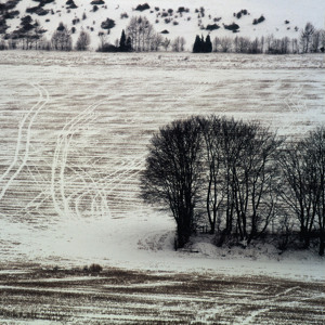 artworks-000067786896-zdioqz-crop.jpg?d53bf9f