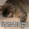 Cinta Sebelah Tangan album artwork