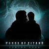 Britney Spears - Work Bitch (House Of Titans Remix) album artwork