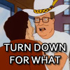 DJ Snake - Turn Down For What (MO BUTT PROPANE REMIX FT. HANK HILL)