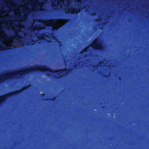 artworks-000073991448-jh5z84-crop.jpg?435a760