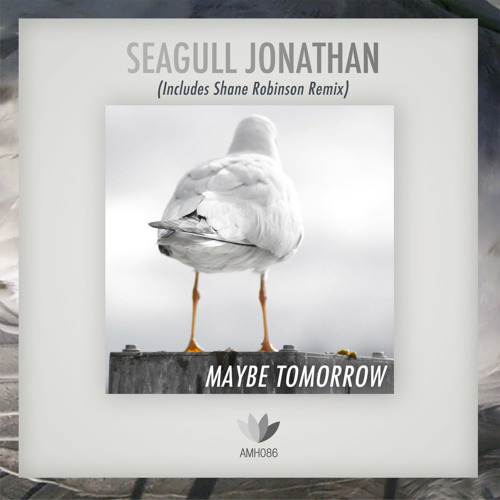 Smeagull The Seagull: Interview With Author Mark Seth Lender